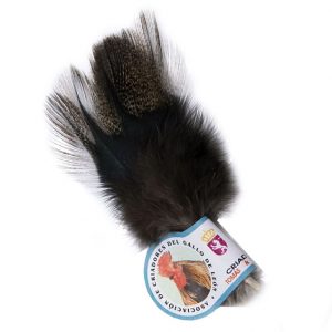 COQ DE LEON CDL3 DARK SPECKLED