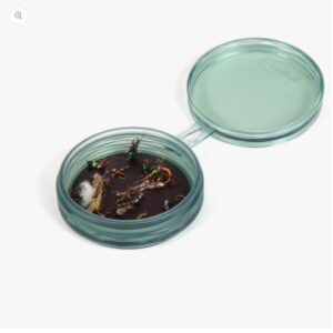 TACKY SHALLOW MAGPAD FLY PUCK