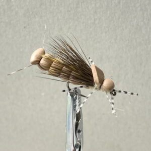 STONFLY  #8