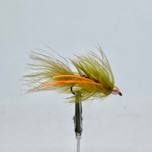 PANCORA OLIVA CONE H. COPPER PATAS ORANGE #6