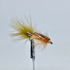 PANCORA OLIVA /ORANGE PATAS BLANCAS #6