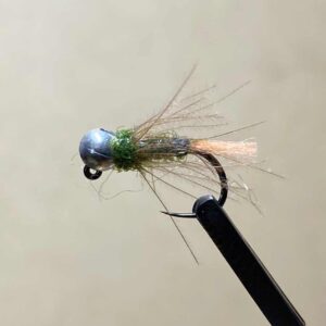 PERDIGON PEACOCK CDC BH TUNSGTENO #14