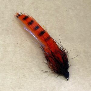 ZONKER BARRED ORANGE CONO BLACK #4