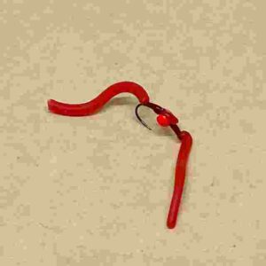 SAN JUAN WORM